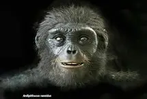 اجداد انسان‌ شبیه میمون‌های آفریقایی بودند!