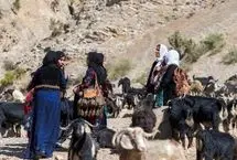 لحظات پرهیجان نجات یک قوچ از زیر آوار در هورامان