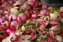 تصاویر؛ برداشت انار از باغ‌های کوهستانی پاوه