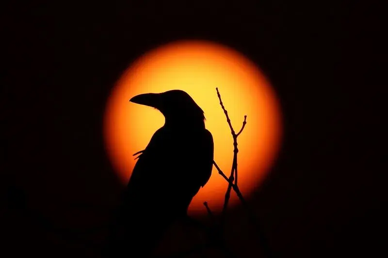 جهان به روایت تصویر