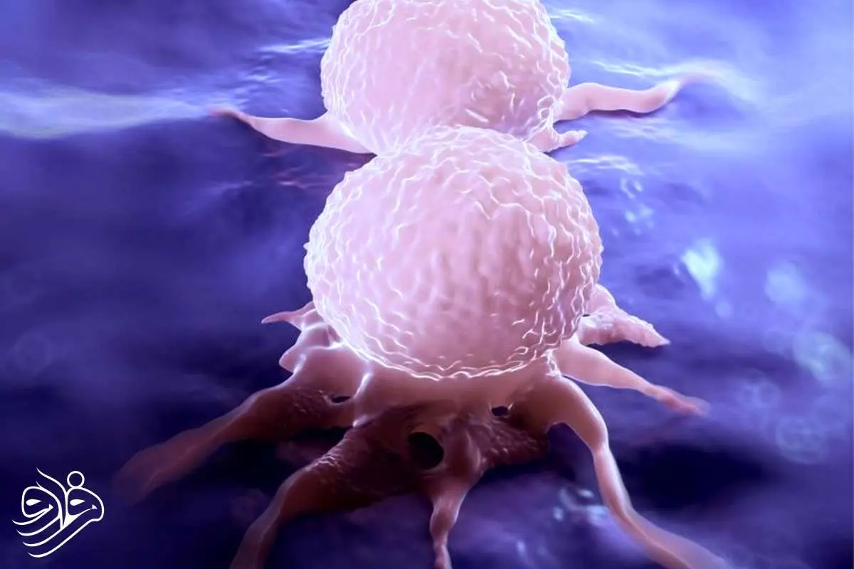 وقتی سم عقرب به داروی سرطان پستان تبدیل می‌شود!