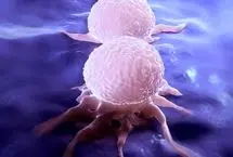 وقتی سم عقرب به داروی سرطان پستان تبدیل می‌شود!