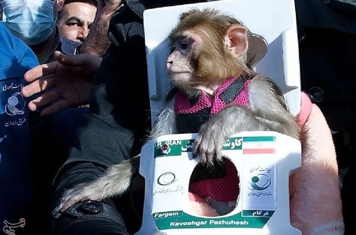 میمون فضانورد ایران کجاست؟