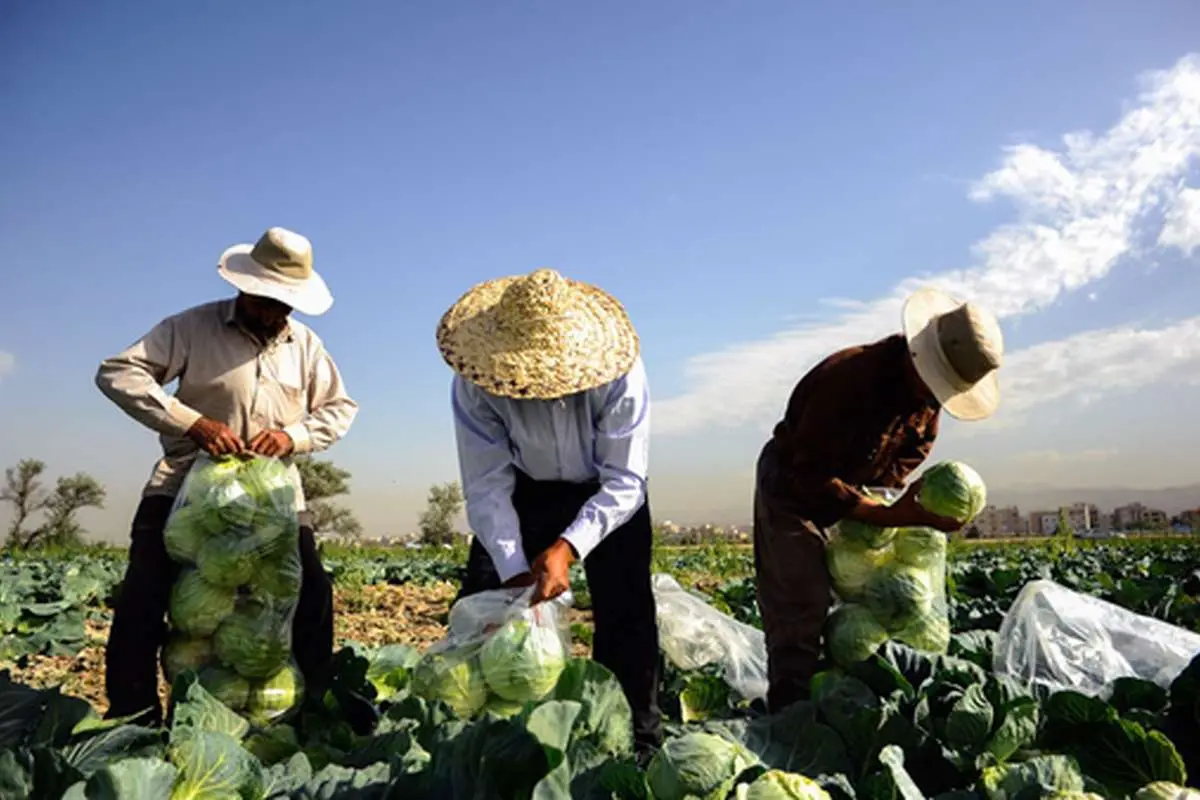 حراج آب بیخ گوش تهران بی‌آب
