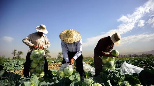 حراج آب بیخ گوش تهران بی‌آب