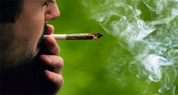 گل؛ بلیت ورود به جمع‌های دانشجویی!