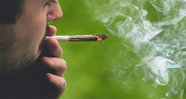 گل؛ بلیت ورود به جمع‌های دانشجویی!