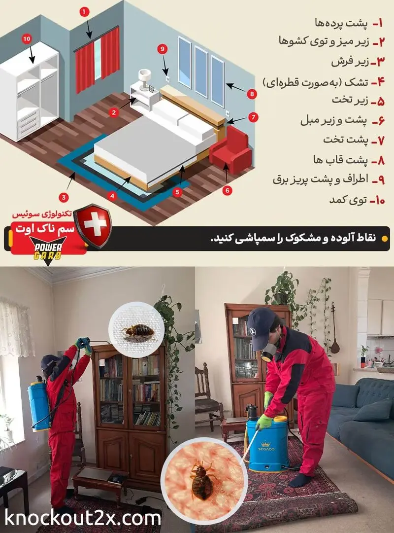3سمپاشی ساس