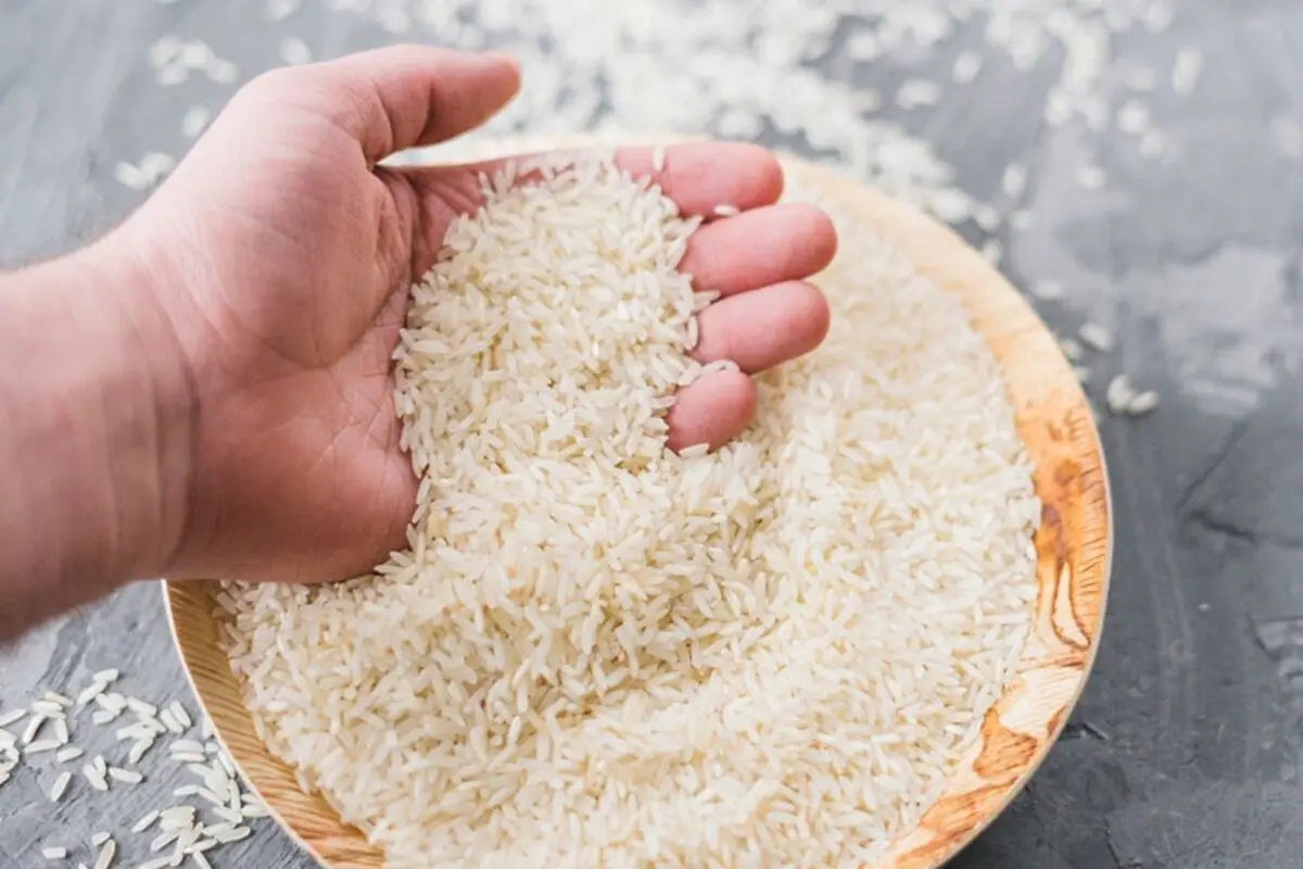 برنج هندی ارزان می‌شود