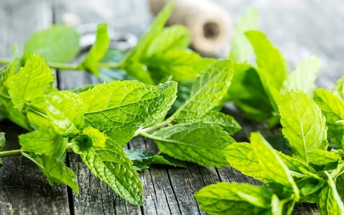 این سبزی برای مبتلایان به ریفلاکس مضر است
