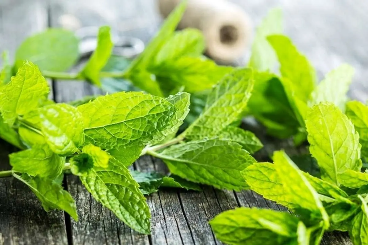 این سبزی برای مبتلایان به ریفلاکس مضر است