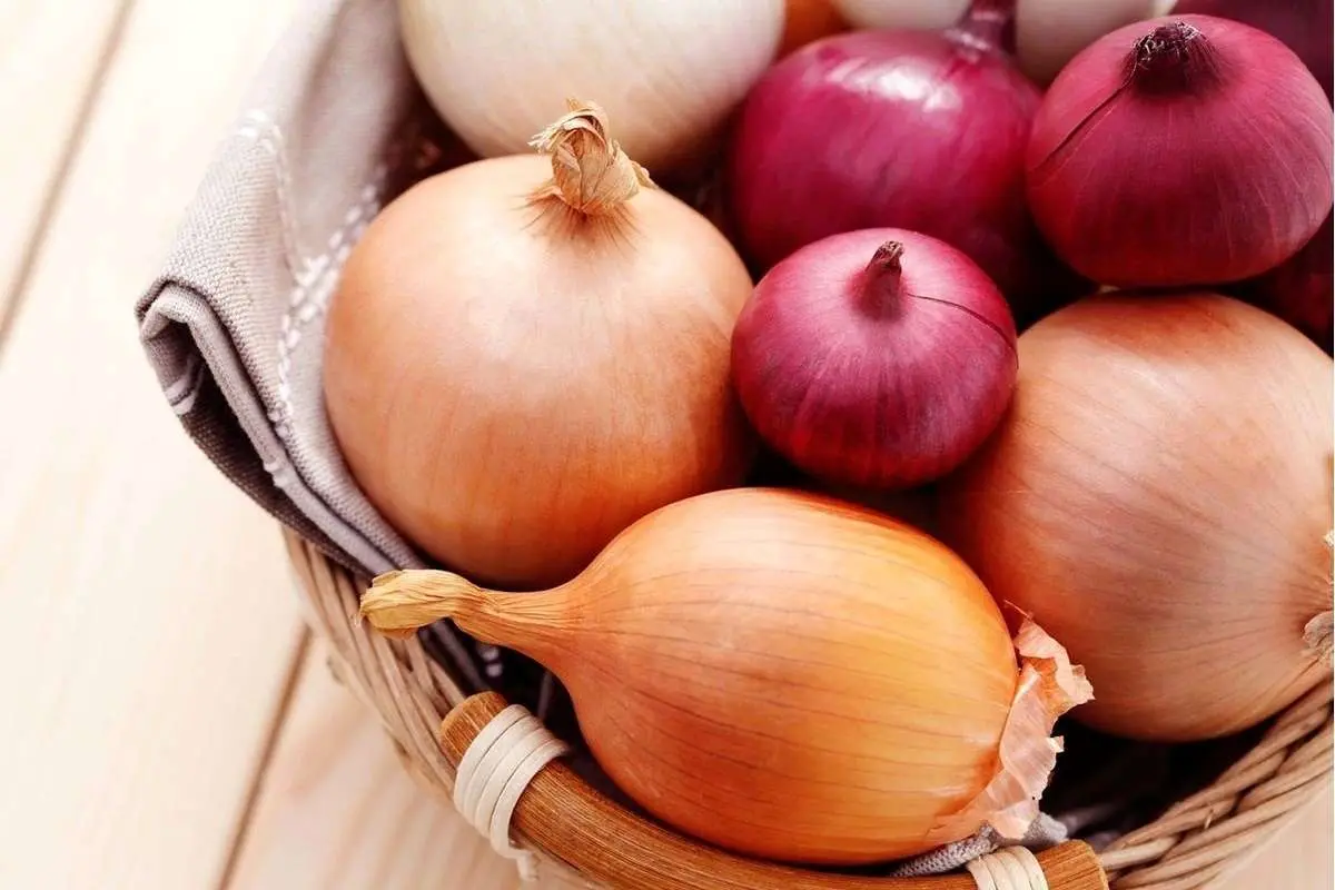 بهترین روش و اصول نگهداری پیاز برای مدت بیشتر