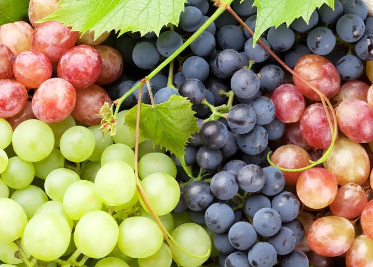 این میوه‌ تابستانی اکسیر جوانی است