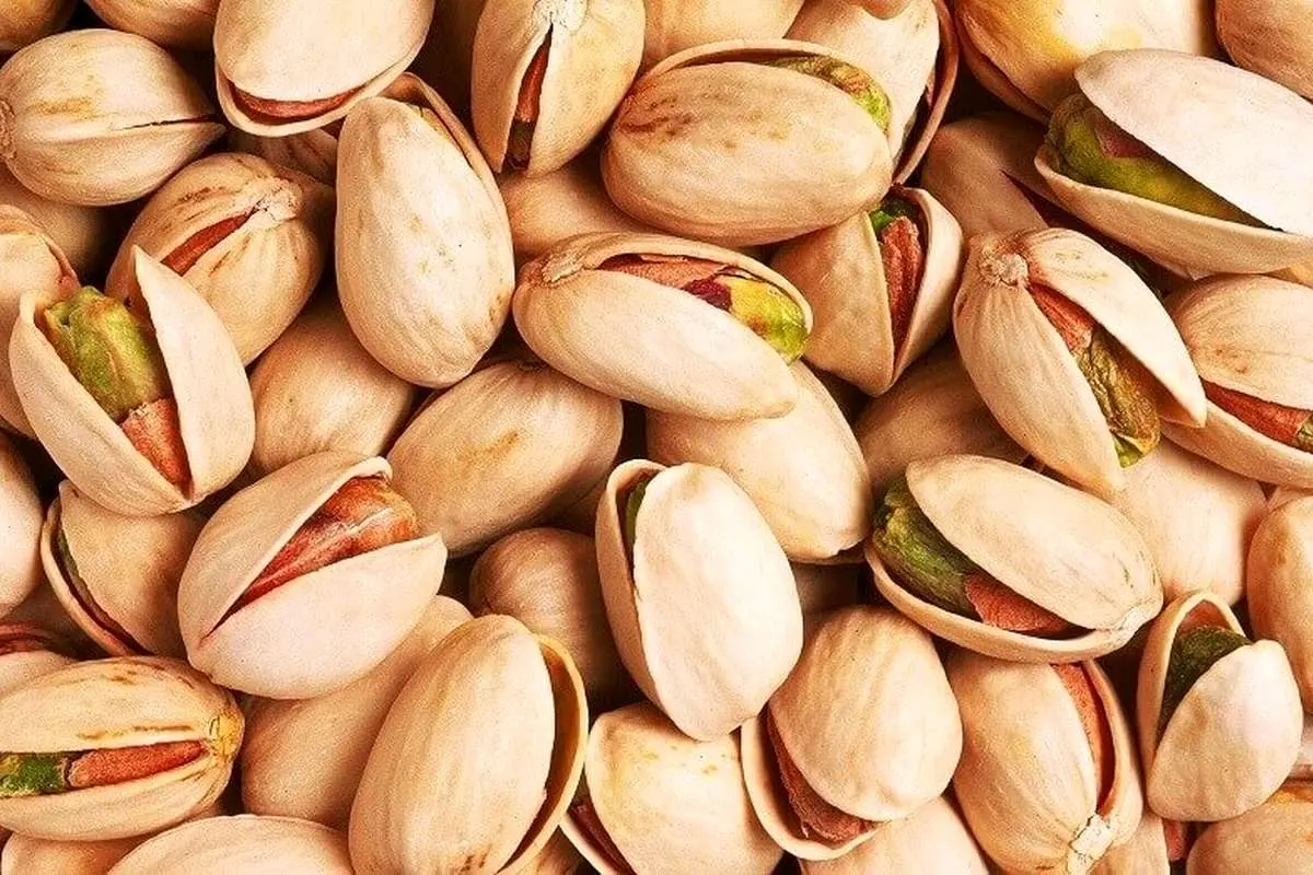 قیمت افسانهای و جدید یک کیلو پسته