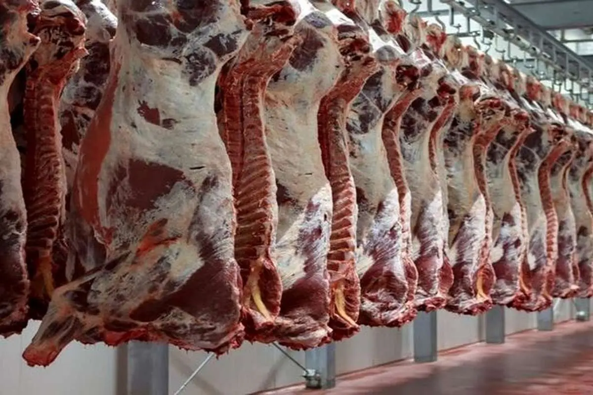 آیا ارز نیمایی گوشت قرمز حذف شد؟