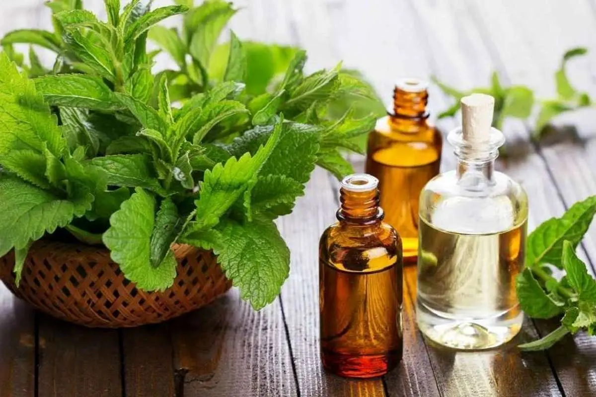 این روغن برای تقویت حافظه موثر است