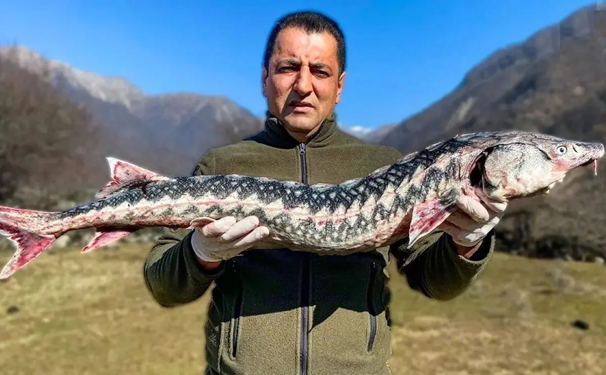 (ویدئو) غذای روستایی در آذربایجان؛ کباب ماهی خاویاری ۱۲ میلیون تومانی