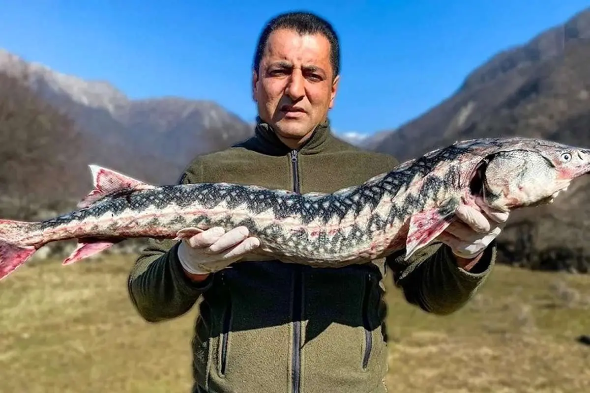 (ویدئو) غذای روستایی در آذربایجان؛ کباب ماهی خاویاری ۱۲ میلیون تومانی