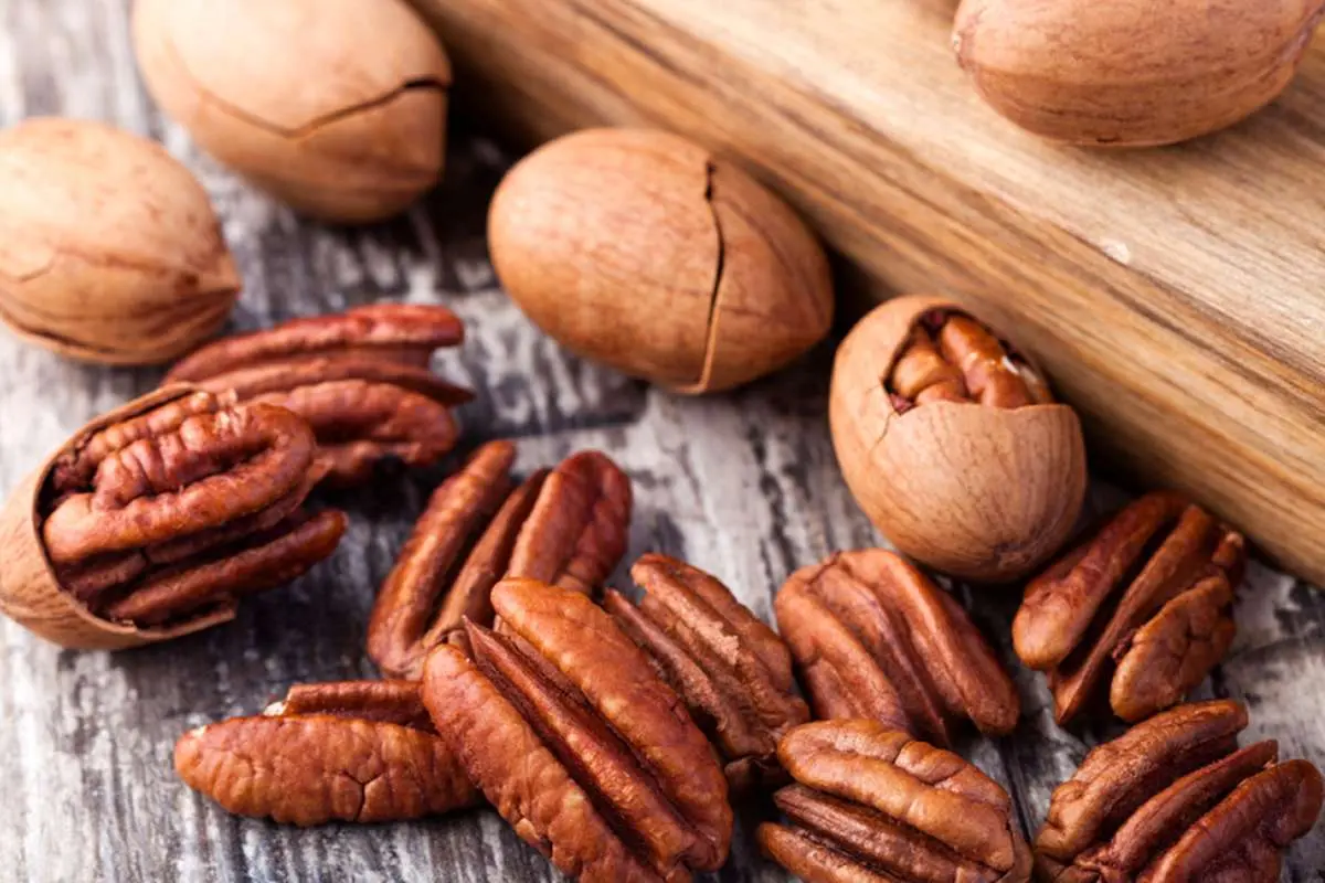 خواص شگفت‌انگیز گردوی پکان