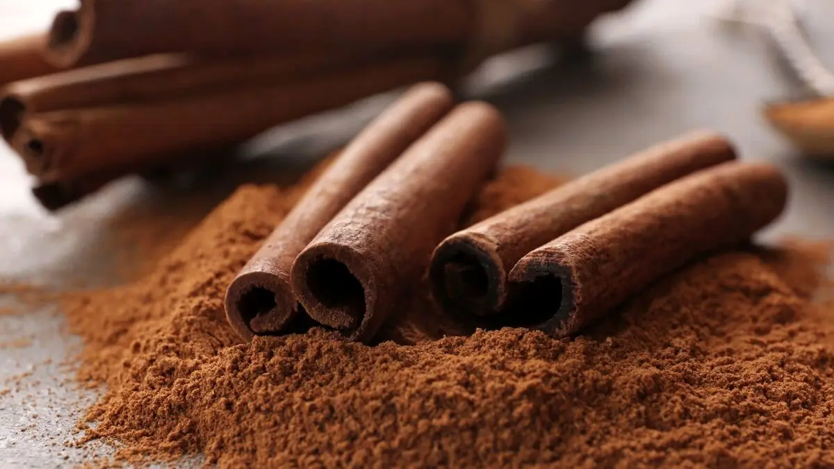 خواص شگفت‌انگیز پوست این درخت برای سلامتی