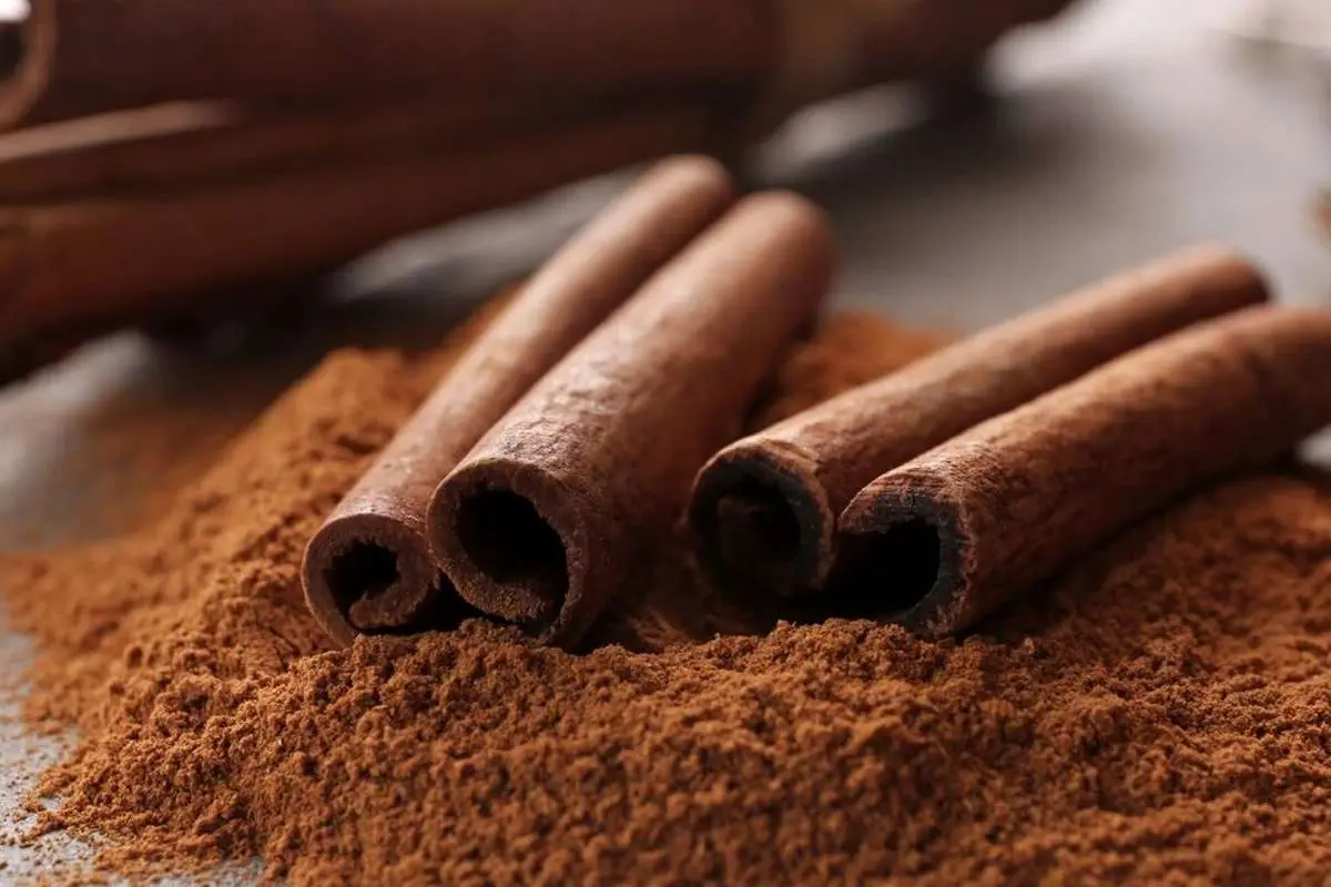 خواص شگفتانگیز پوست این درخت برای سلامتی