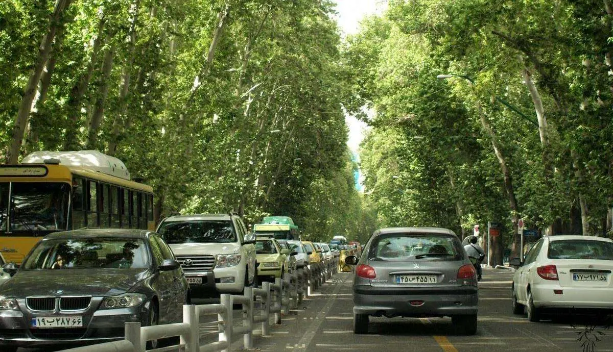 توضیح شهرداری درباره علت قطع کردن ۱۷۹ درخت در ولی عصر