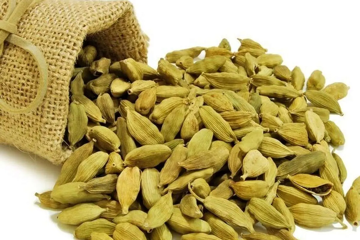 با این ادویه خوشبو چربیهای بدن را بسوزانید