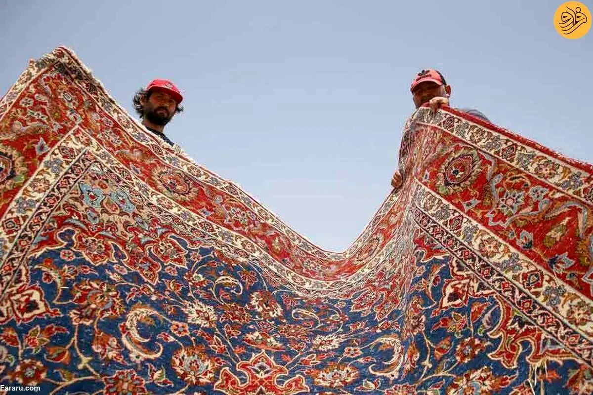 (ویدئو) داستان پهن هزاران فرش دستباف در زمین‌های کشاورزی