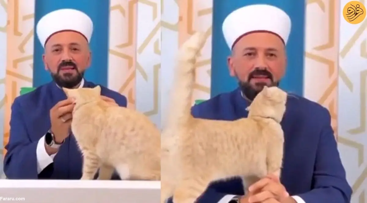(ویدئو) رفتار حیرت‌انگیز امام جماعت با یک گربه پربازدید شد