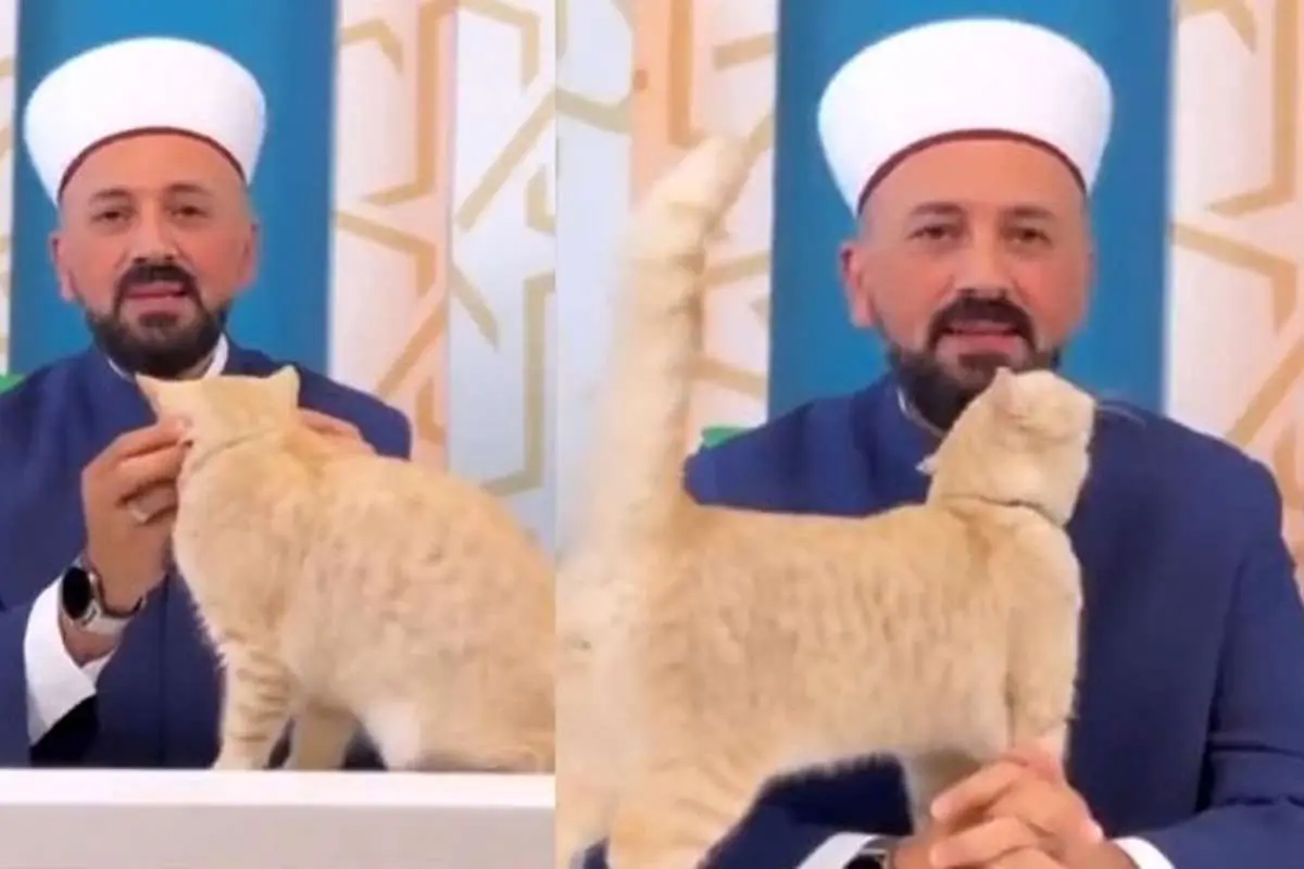 (ویدئو) رفتار حیرت‌انگیز امام جماعت با یک گربه پربازدید شد