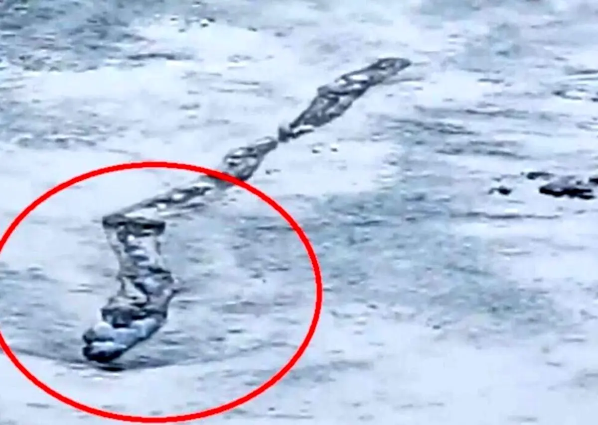 (ویدئو) مشاهده یک هیولای غول پیکر یخی در رودخانه‌ای در ایسلند