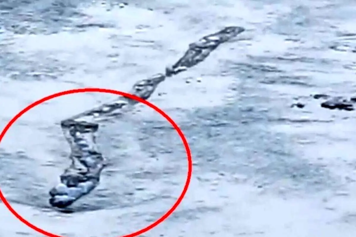 (ویدئو) مشاهده یک هیولای غول پیکر یخی در رودخانه‌ای در ایسلند