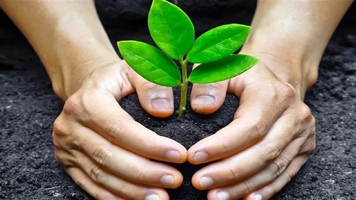 ماجرای یک برنامه ضد محیط زیستی