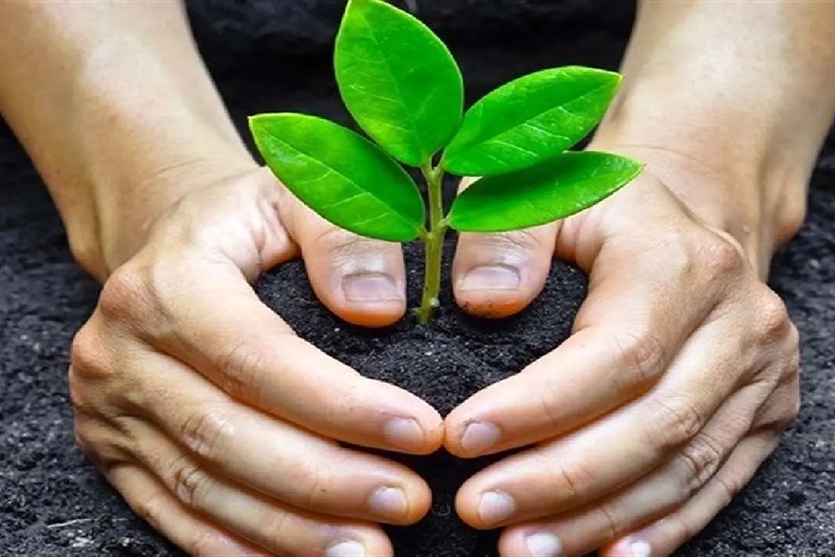 ماجرای یک برنامه ضد محیط زیستی