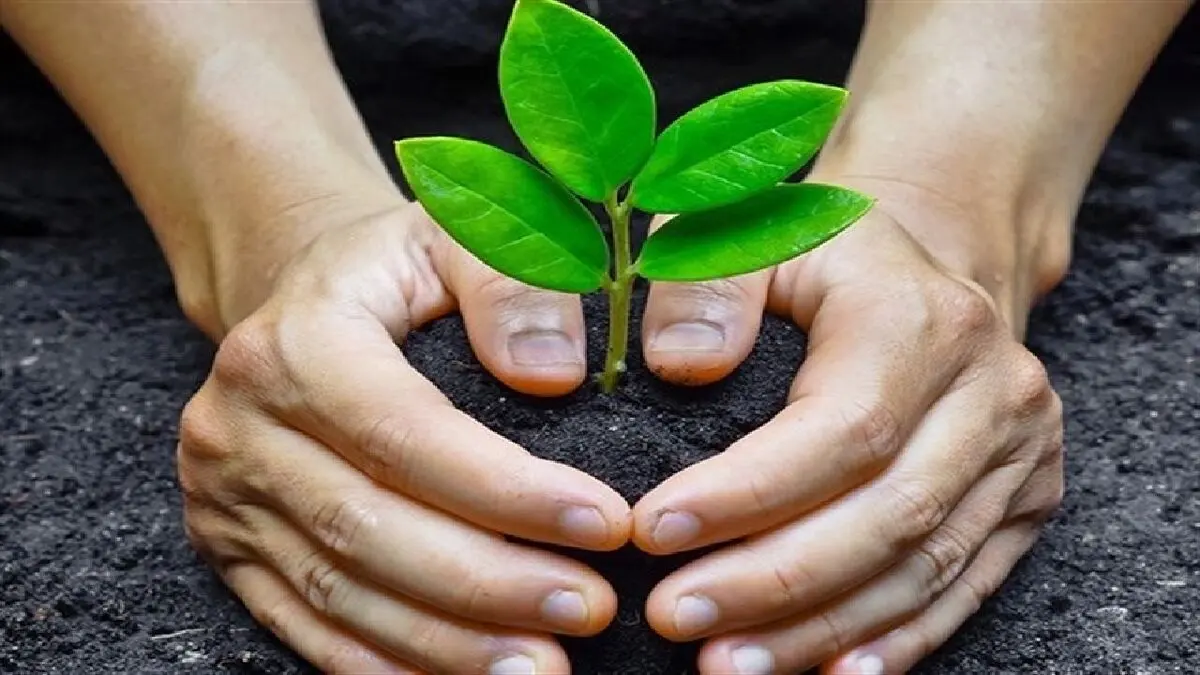 ماجرای یک برنامه ضد محیط زیستی