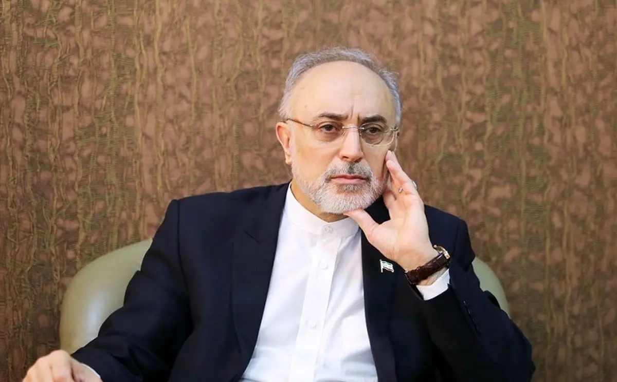 علی اکبر صالحی: هیأت علمی قابل تزریق به‌صورت انبوه نیست