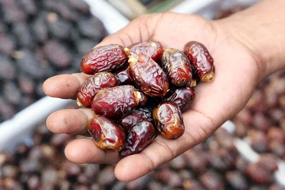 تمییز کننده اصلی کبد در ناشتای صبح این میوه گرم پادشاه است