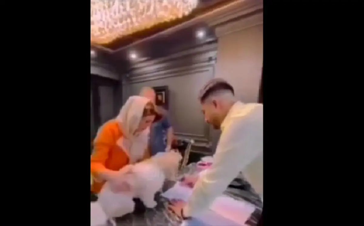 آقای چستر را بی‌خیال!