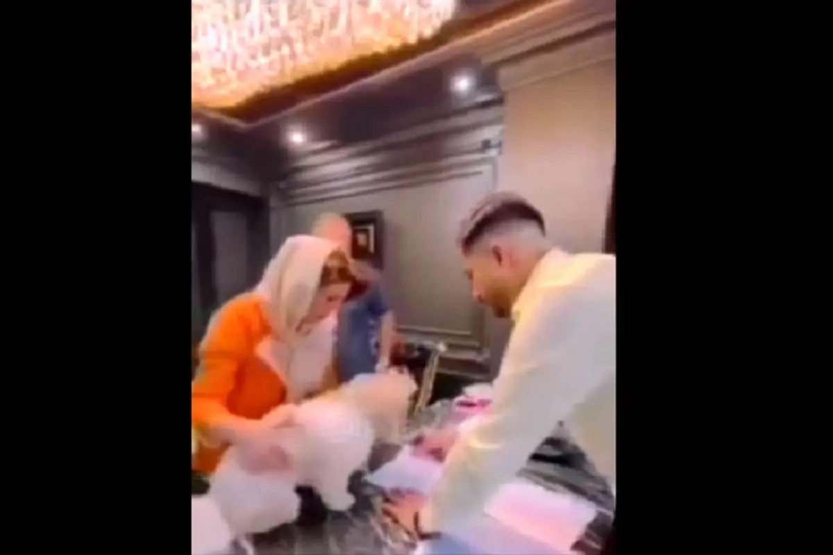 آقای چستر را بیخیال!