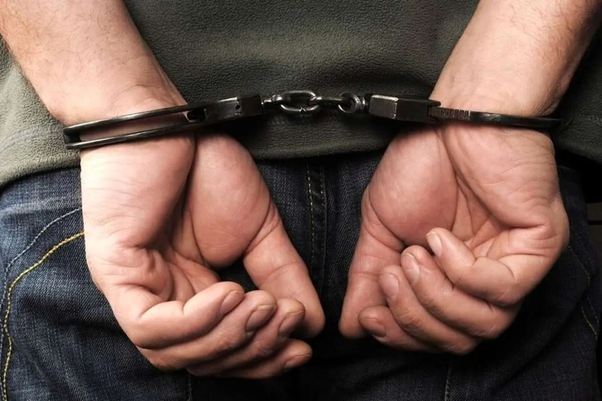 (ویدئو) تصاویری از استرداد متهم ۶۰۰ میلیاردی به کشور