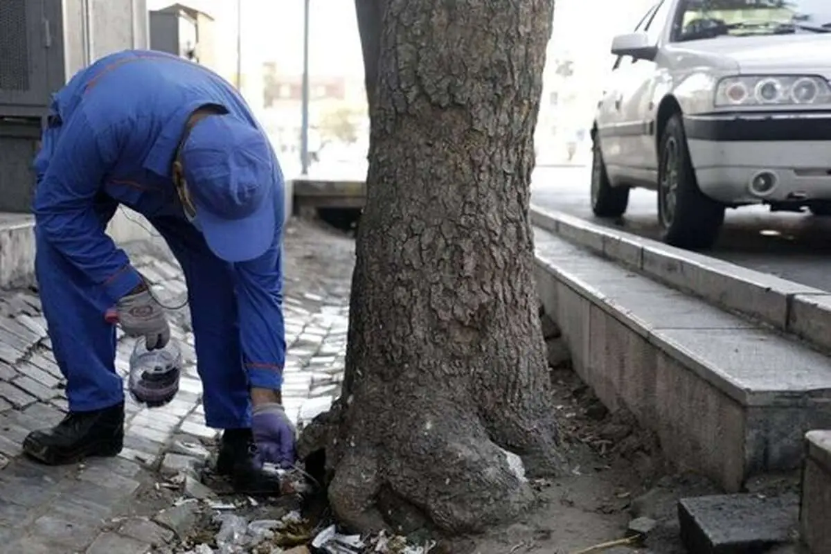 شهرداری تهران با این روشها به نبرد موشها میرود