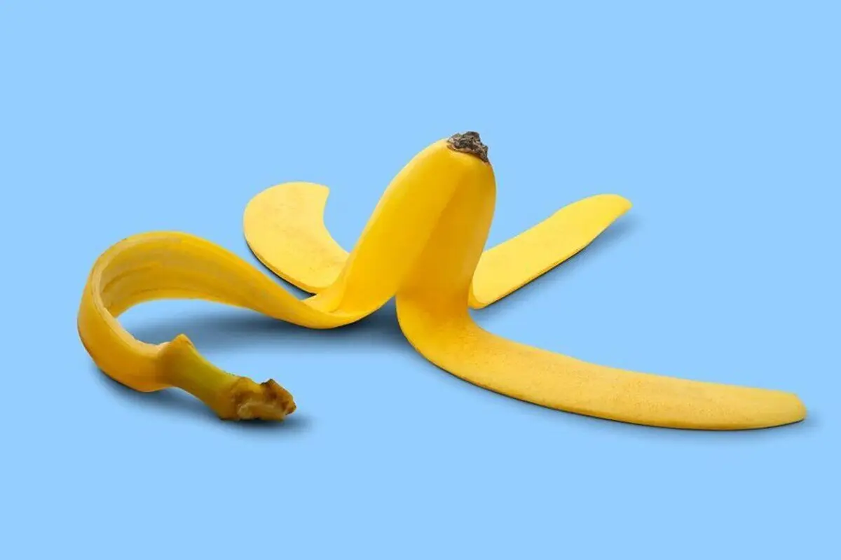 دیگه پوست موز رو دور نریز؛ معجزه پوست موز بر زیبایی و خانه داری!