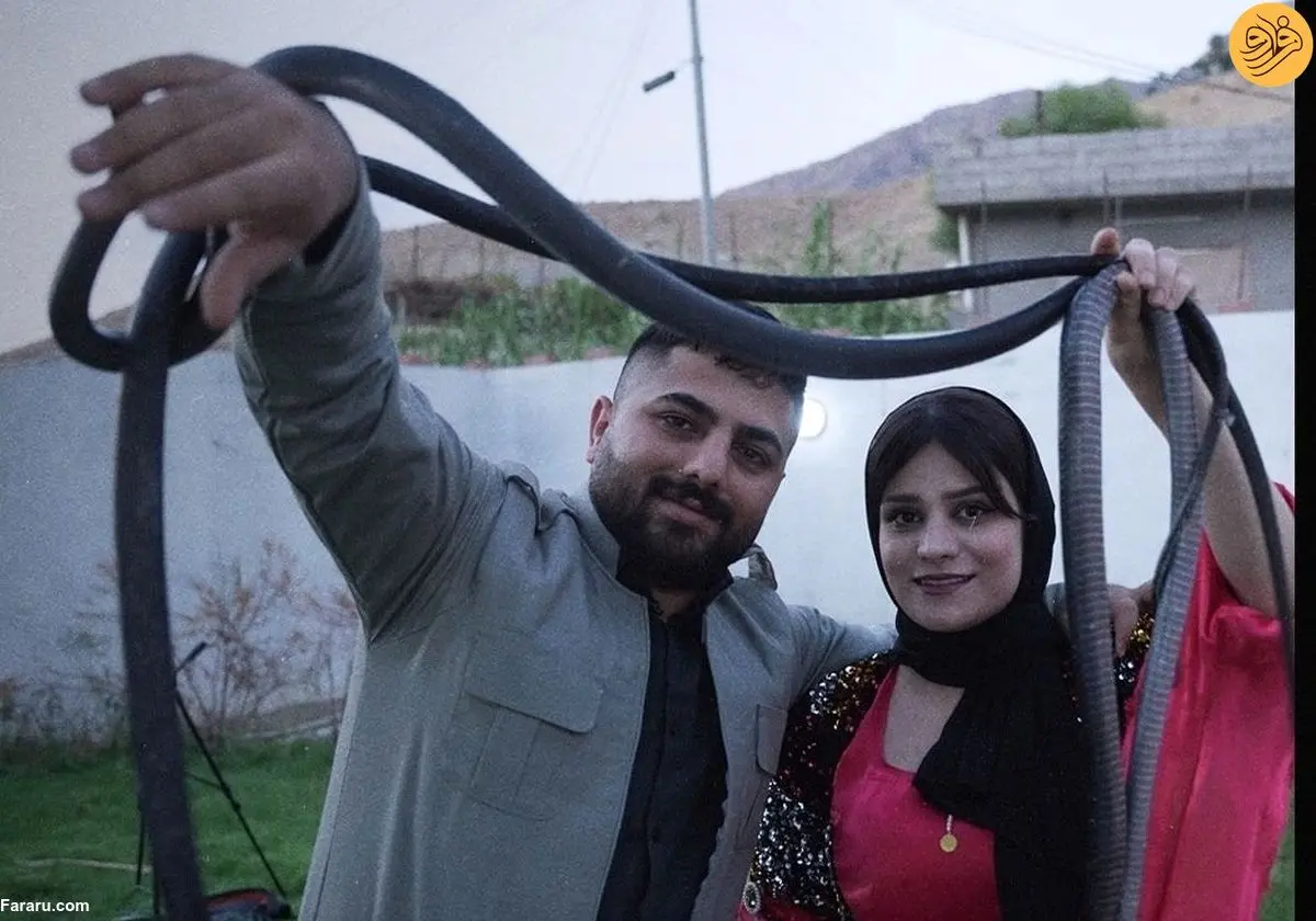 (تصاویر) زوجی که با پرورش مار امرار معاش می‌کنند