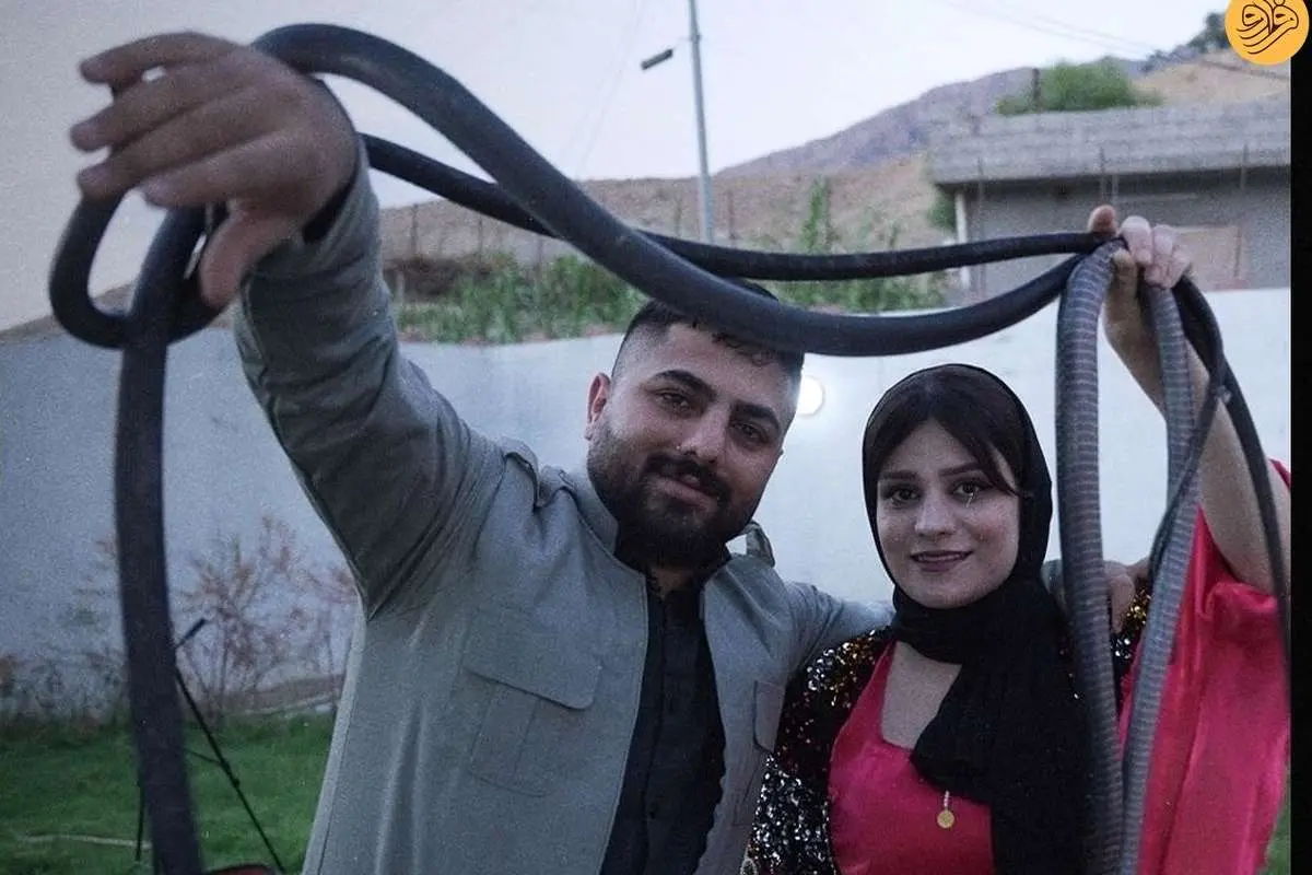 (تصاویر) زوجی که با پرورش مار امرار معاش میکنند