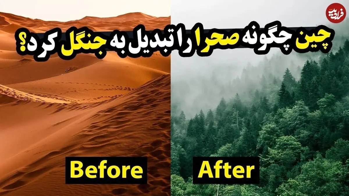 (ویدئو) چینی‌ها چگونه توانستند یک صحرا را به جنگل تبدیل کنند؟