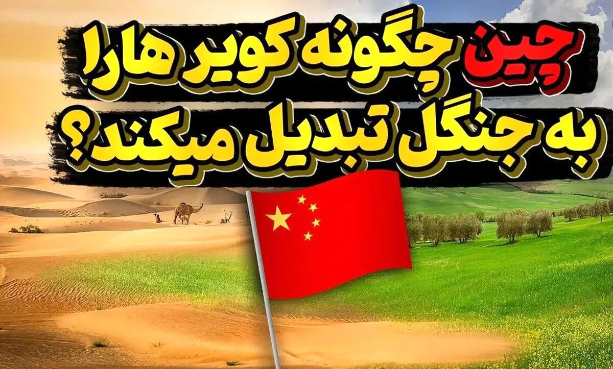 (ویدئو) پروژه شگفتی ساز چینی‌ها برای تبدیل کویرهای این کشور به جنگل