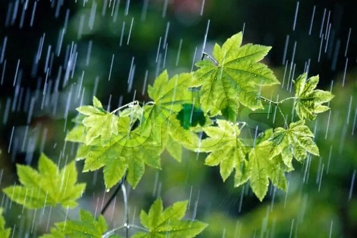 خبر خوب سازمان هواشناسی درباره پاییز امسال