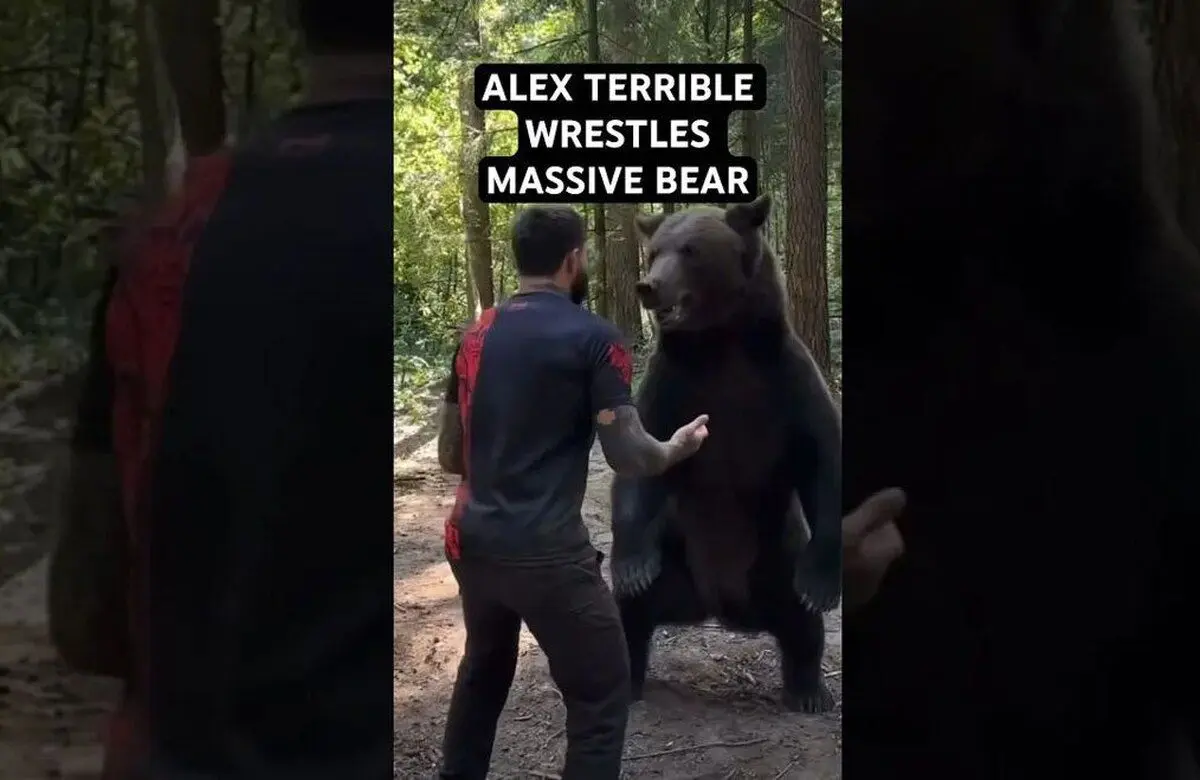 (ویدئو) دیدار هیجان انگیز خرس غول پیکر با مردی که در کودکی او را نجات داد