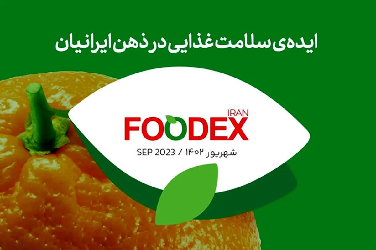 چرا دانش تغذیهای برای داشتن یک بدن سالم مهم است؟