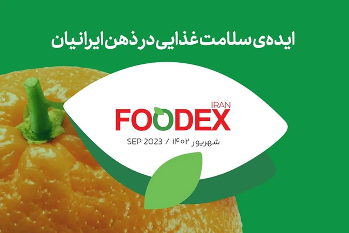 چرا دانش تغذیه‌ای برای داشتن یک بدن سالم مهم است؟